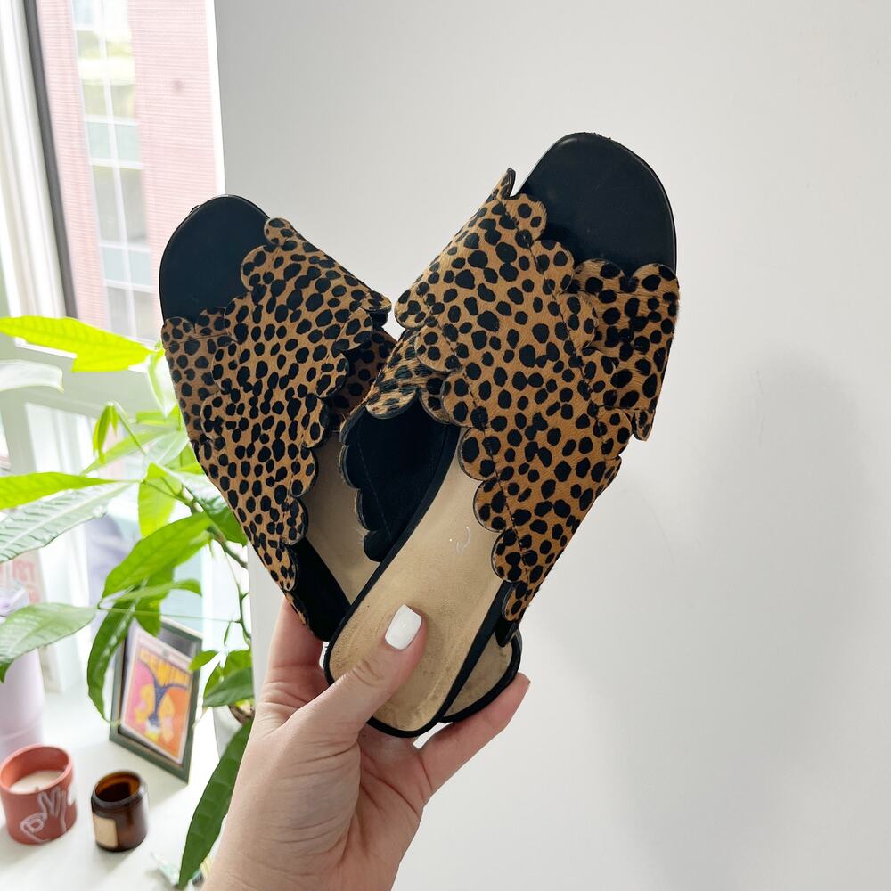 Isa Tapia Calf Hair Animal Print Sandals Size 7